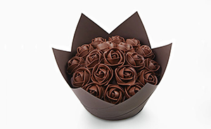 - Joséphine 约瑟芬玫瑰 -